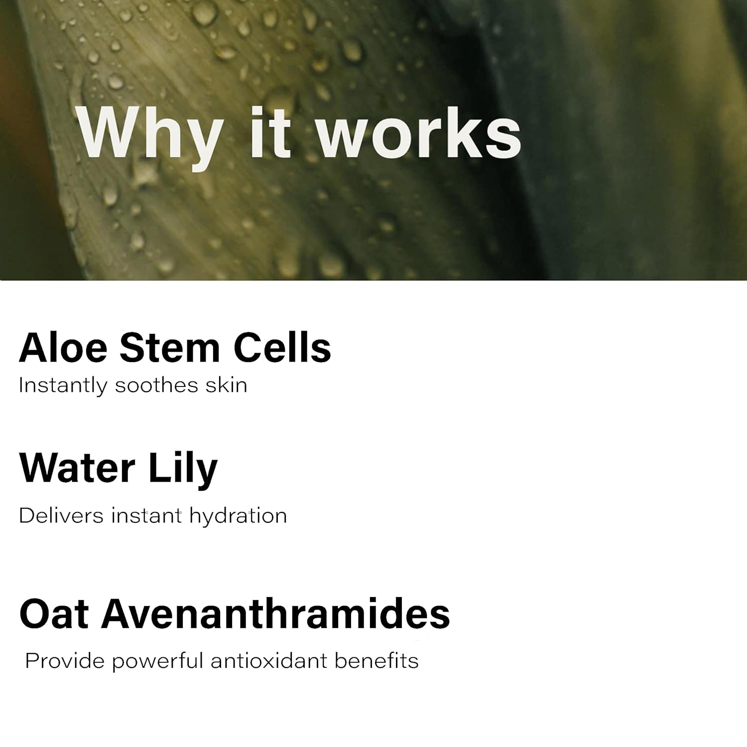 Eufora Soothing Moisture Mist 6.8 Fl. Oz : Beauty & Personal Care