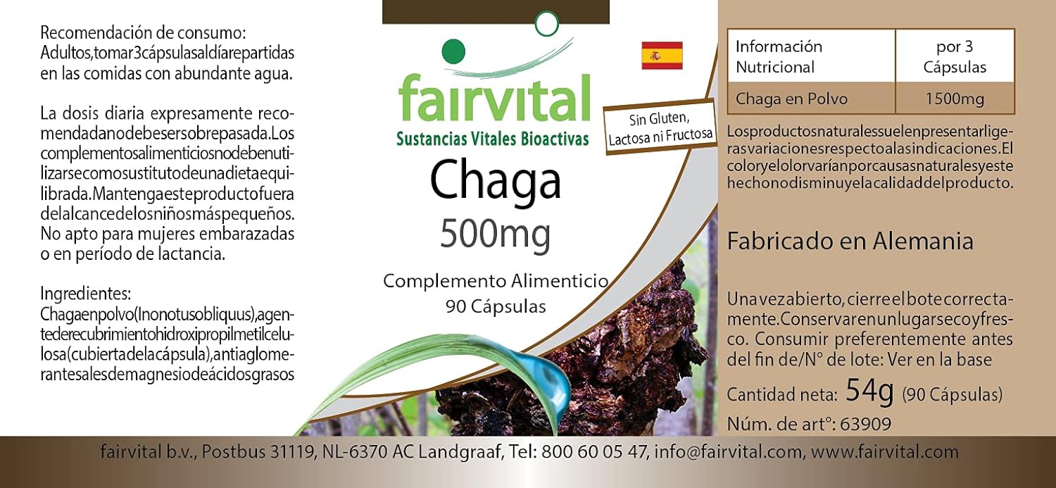 Fairvital | Chaga 500mg - VEGAN - HIGH DOSAGE - 90 capsules - Inonotus obliquus - mushroom powder : Amazon.co.uk: Health & Personal Care