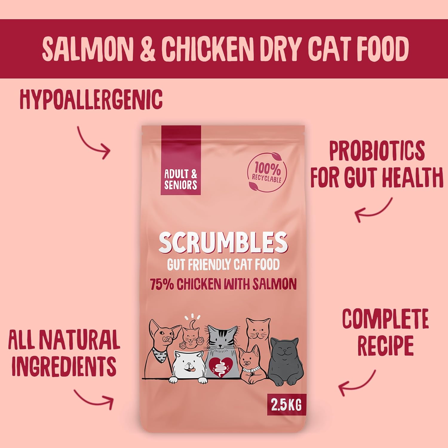 Scrumbles All Natural Dry Cat Food With Chicken and Fresh Salmon, High Protein Food for Adults And Seniors, 2.5 Kg,pink bag :Pet Supplies