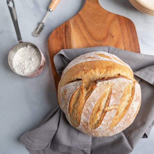Cultures for Health Sourdough Starter Bundle | 3 Different Starter Cultures | San Francisco Style, Whole Wheat & Rye Sourdough | Heirloom, Non-GMO | Live Culture Bread Making
