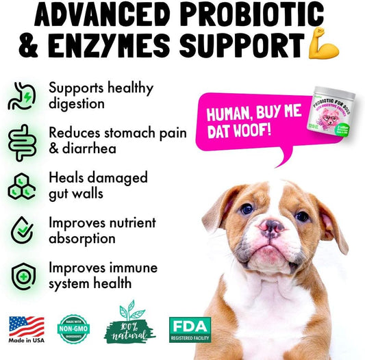 Probiotics for Dogs Natural Digestive Enzymes Prebiotics for Allergy Itch Relief Gut Flora Coprophagia Bowel Support Treatment Anti Diarrhea for Dogs Pet Health Immune System Support 120 Soft Chews