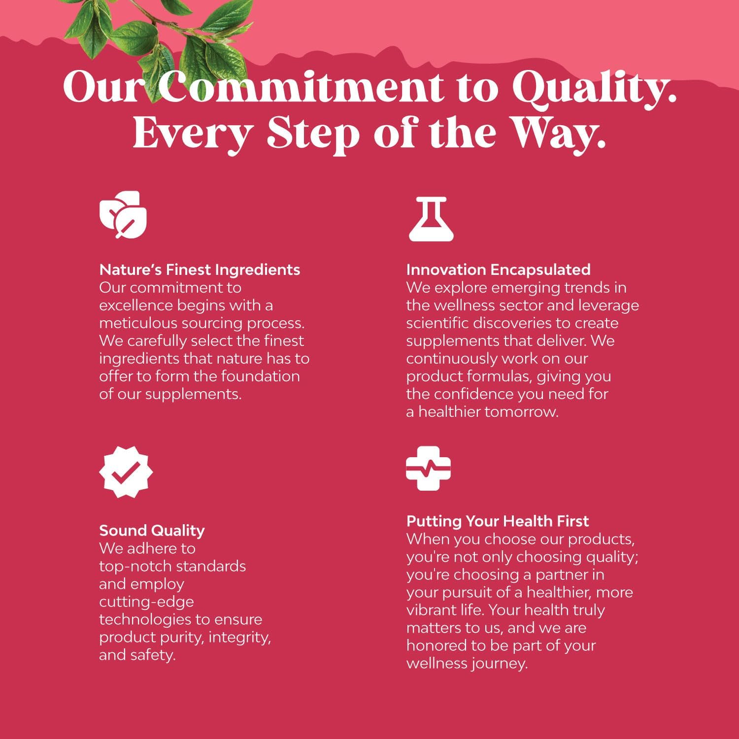 Fertility Supplement for Women with Prenatal Multivitamins - Female Fertility Support with Prenatal Choline Inositol Folate Chasteberry and CoQ10 Fertility Blend for Women to Promote Faster Conception : Health & Household