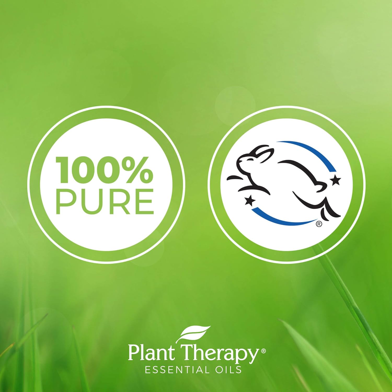 Plant Therapy Gut Aid Essential Oil Blend Roll-On 10 mL (1/3 oz) 100% Pure, Pre-Diluted Roll-On, Natural Aromatherapy : Health & Household