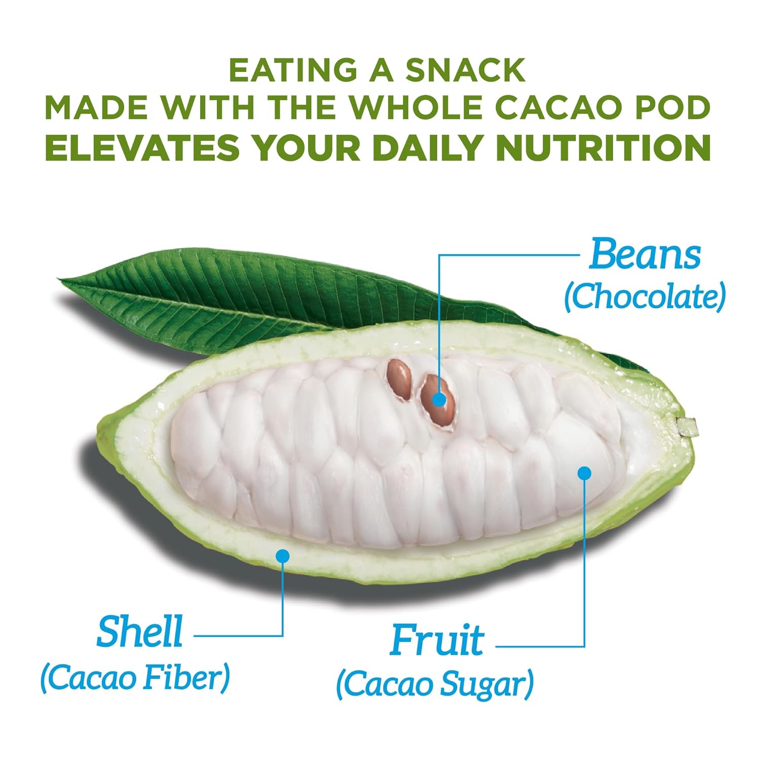 Blue Stripes Hazelnut Butter Chocolate Covered Whole Cacao Beans, 3.5 Oz : Grocery & Gourmet Food