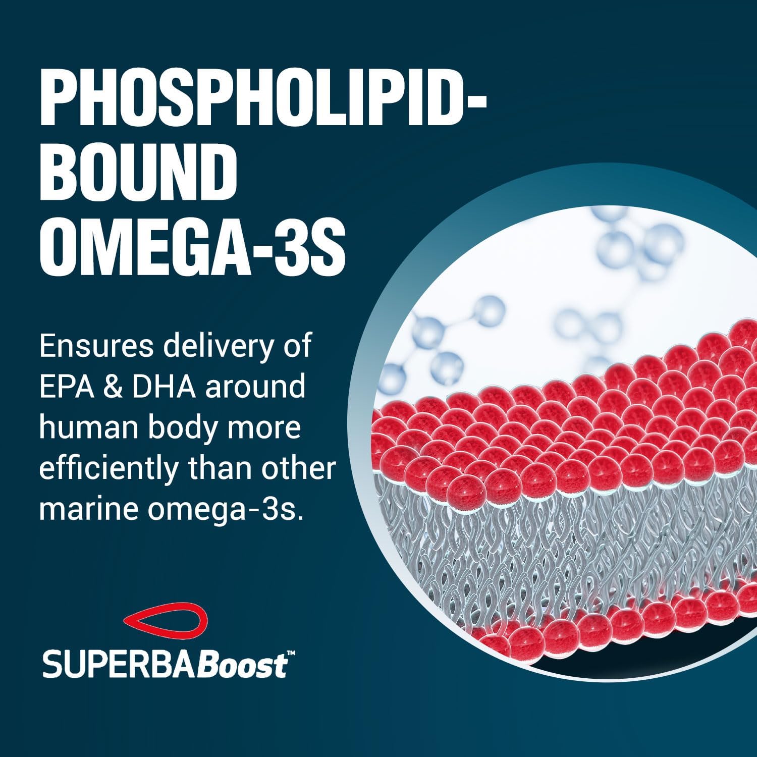 Labo Nutrition Perfect Krill Ex, 1000Mg Antarctic Krill Oil Omega 3 Epa Dha, Highest Phospholipids (Over 56%) With Choline, Astaxanthin | Heart Brain Eye Joint Health, Made In Usa, 60 Softgelsx2 : Health & Household