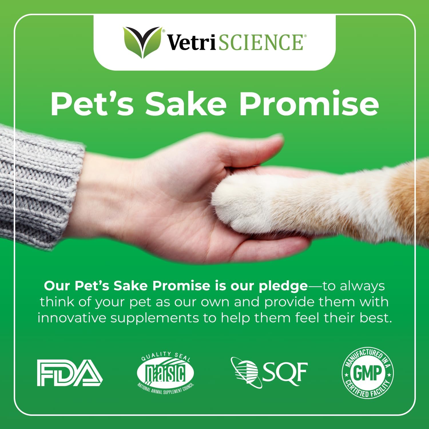 VetriScience Perio Plus Teeth Cleaning Treats for Cats, Chicken, 60 Chews - Plaque Control, Fresh Breath and Gum Health for Cats : Pet Dental Care Supplies : Pet Supplies