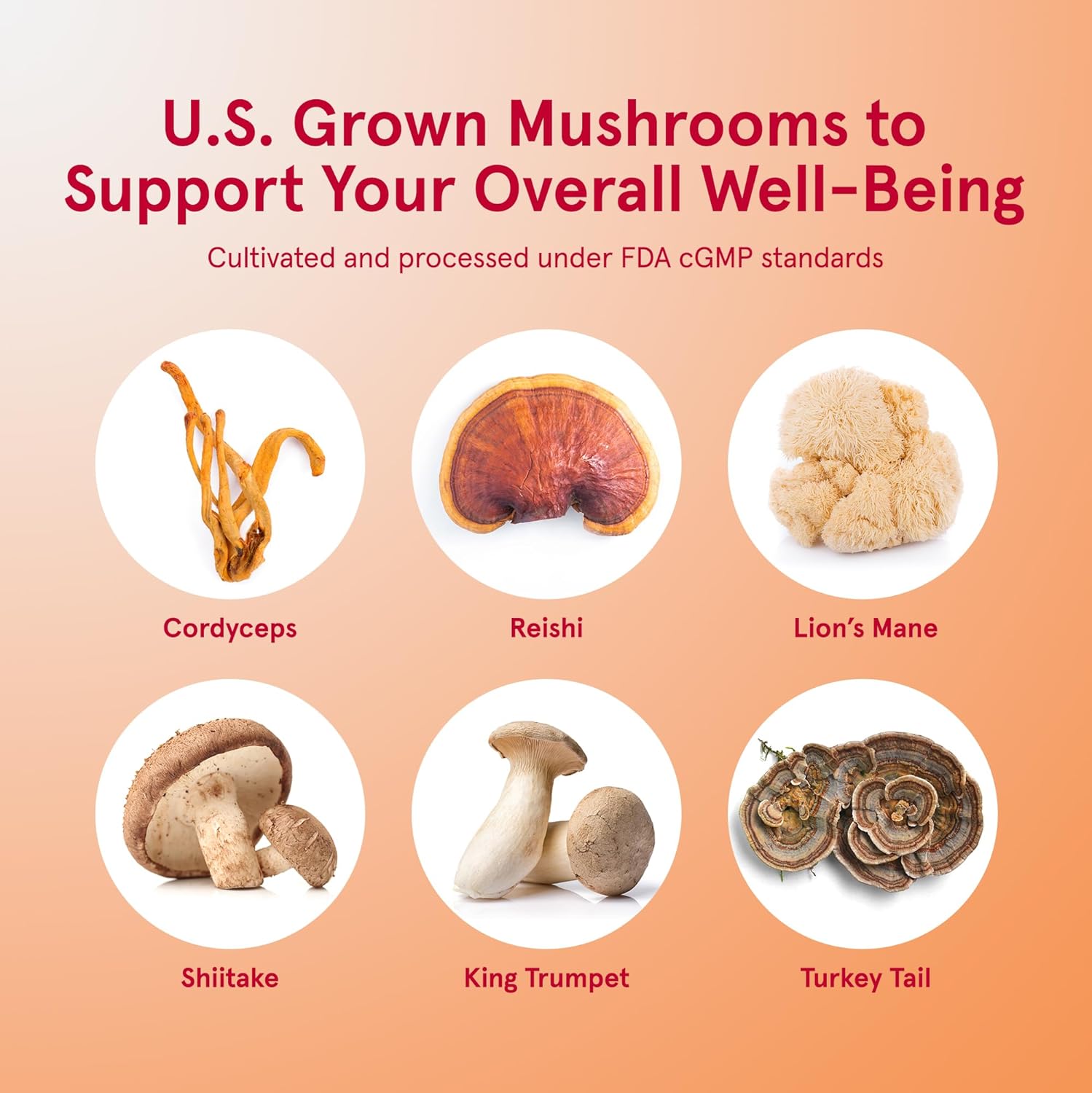 Jarrow Formulas Immune Optimizer with Cordyceps, Reishi, Lions Mane, Shiitake, King Trumpet, and Turkey Tail Mushrooms, Dietary Supplement with Andrographis Extract, 90 Veggie Capsules, 30 Day Supply : Health & Household