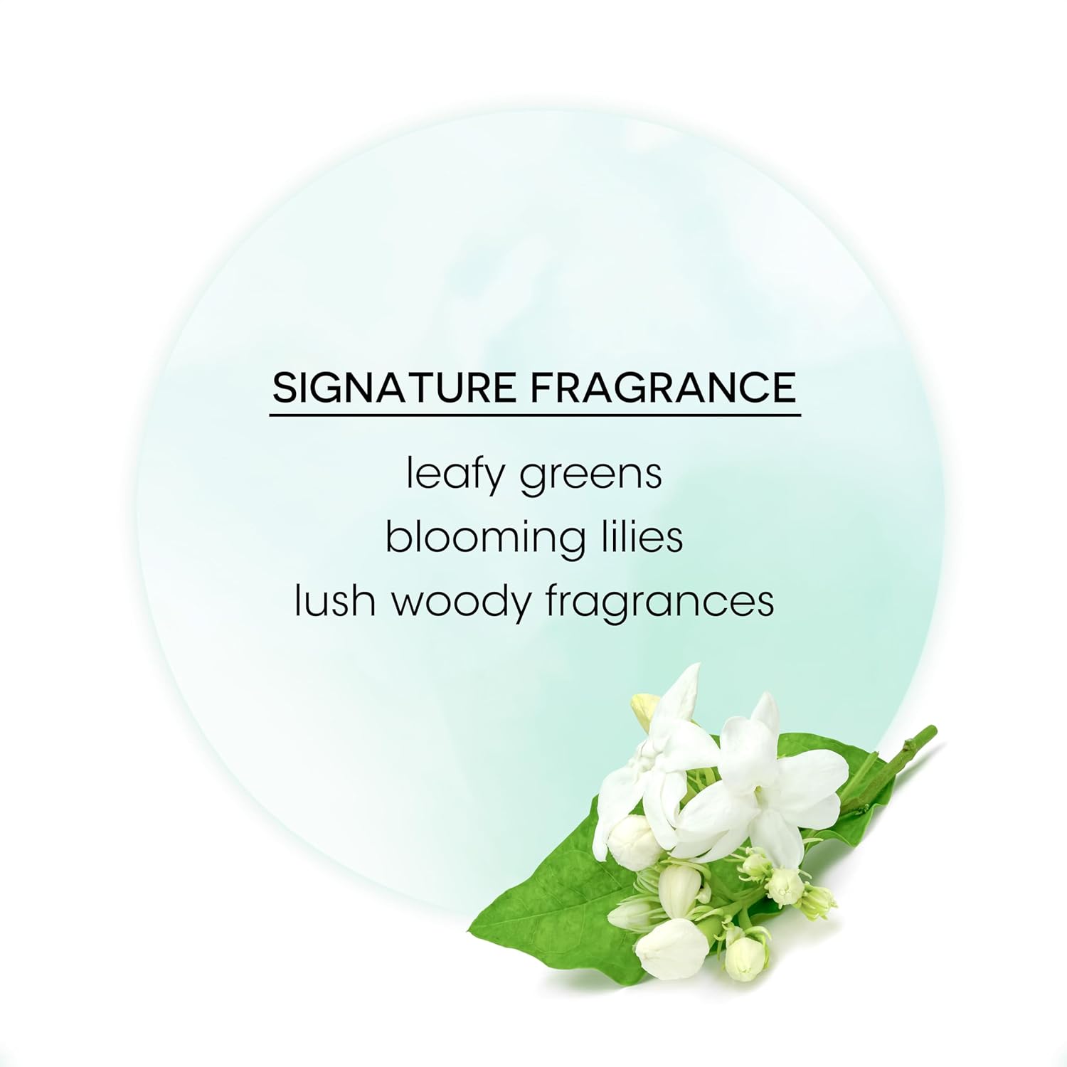 Bain de Terre Stay N' Shape Flexible Shaping Spray, Medium Hold & Shine, Heat & Humidity Protection with Argan & Monoi Oils, Paraben-Free, Color-Safe, Vegan, 9.1 Fl Oz : Beauty & Personal Care