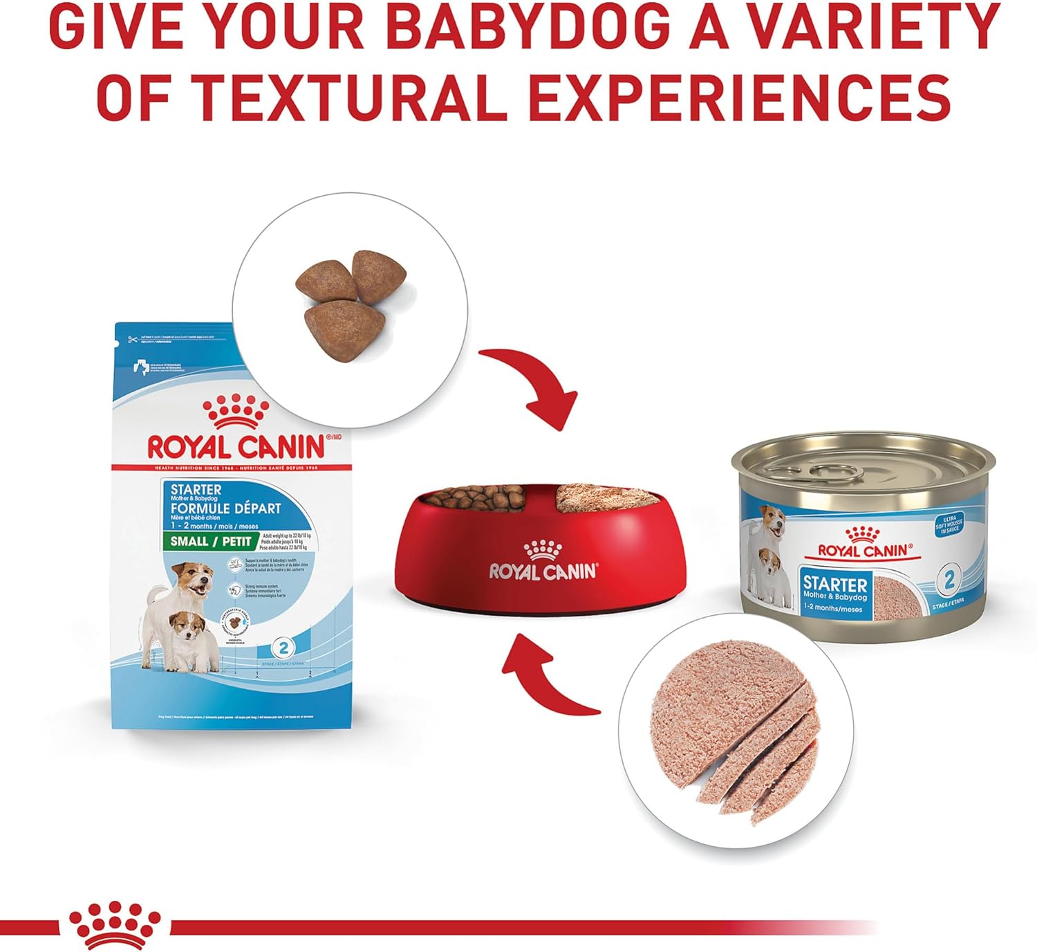 Royal Canin Size Health Nutrition Small Starter Mother & Babydog Dry Dog Food, 2.5 lb Bag : Pet Supplies
