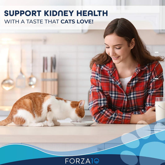 Forza10 Active Kidney Renal Diet Dry Cat Food For Adult Cats, Kidney Care Cat Food For Heart And Kidney Problems, Wild Caught Anchovy Flavor, 1 Pound Bag