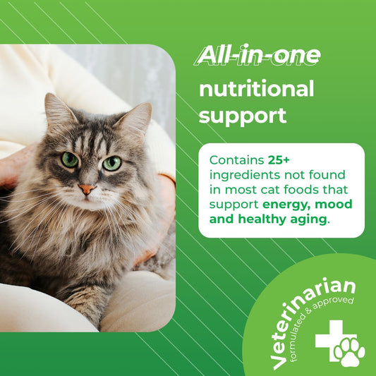 VetriScience Nu Cat Senior Multivitamin with Lysine for Cats - 30 Chews - Cat Supplements & Vitamins Designed to Support Heart, Eye and Brain Function, Immunity and Liver Health in Senior Cats?