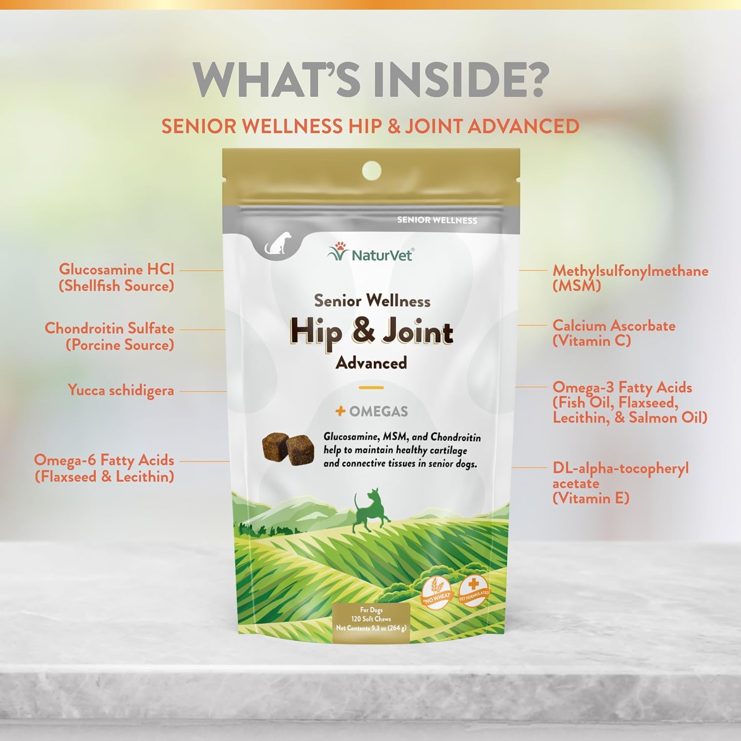 NaturVet – Senior Wellness Hip & Joint Advanced Plus Omegas | Help Support Your Pet’s Healthy Hip & Joint Function | Supports Joints, Cartilage & Connective Tissues | 120 Soft Chews : Pet Bone And Joint Supplements : Pet Supplies