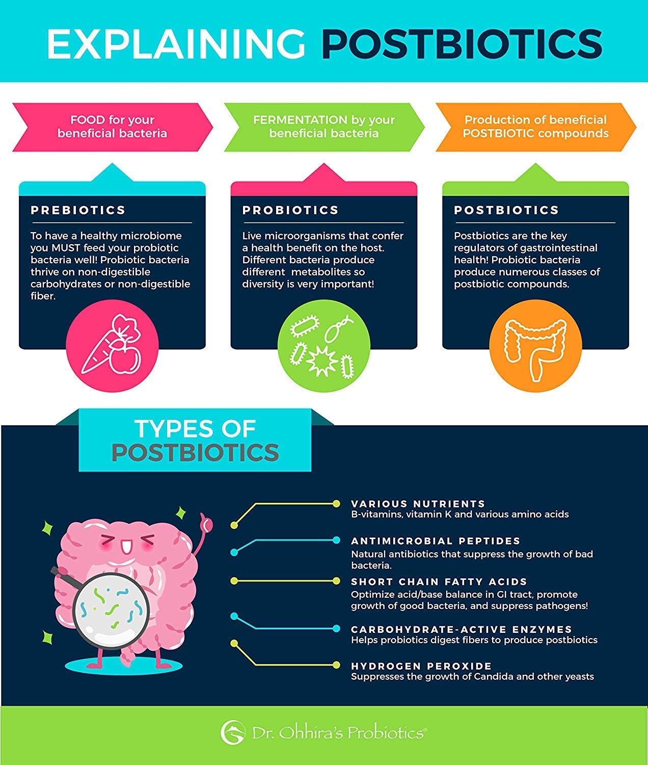 Dr. Ohhira’S Probiotics Professional Formula With 5 Year Fermented Prebiotics, Live Active Probiotics And The Only Product With Postbiotic Metabolites, 30 Capsules : Health & Household