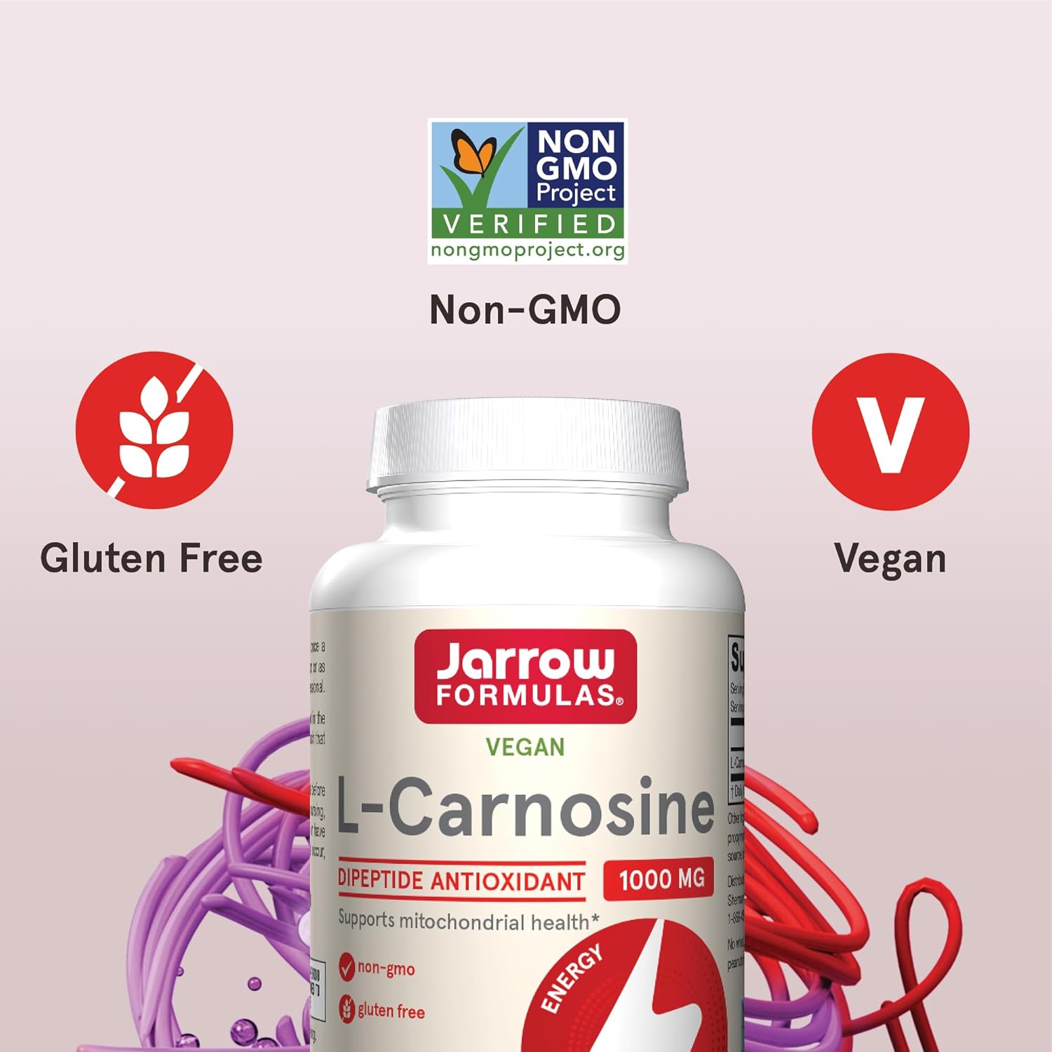 Jarrow Formulas L-Carnosine Dipeptide Antioxidant 1000 mg, Dietary Supplement, Antioxidant Support for Mitochondrial Health, 90 Veggie Capsules, Up to 45 Day Supply : Health & Household