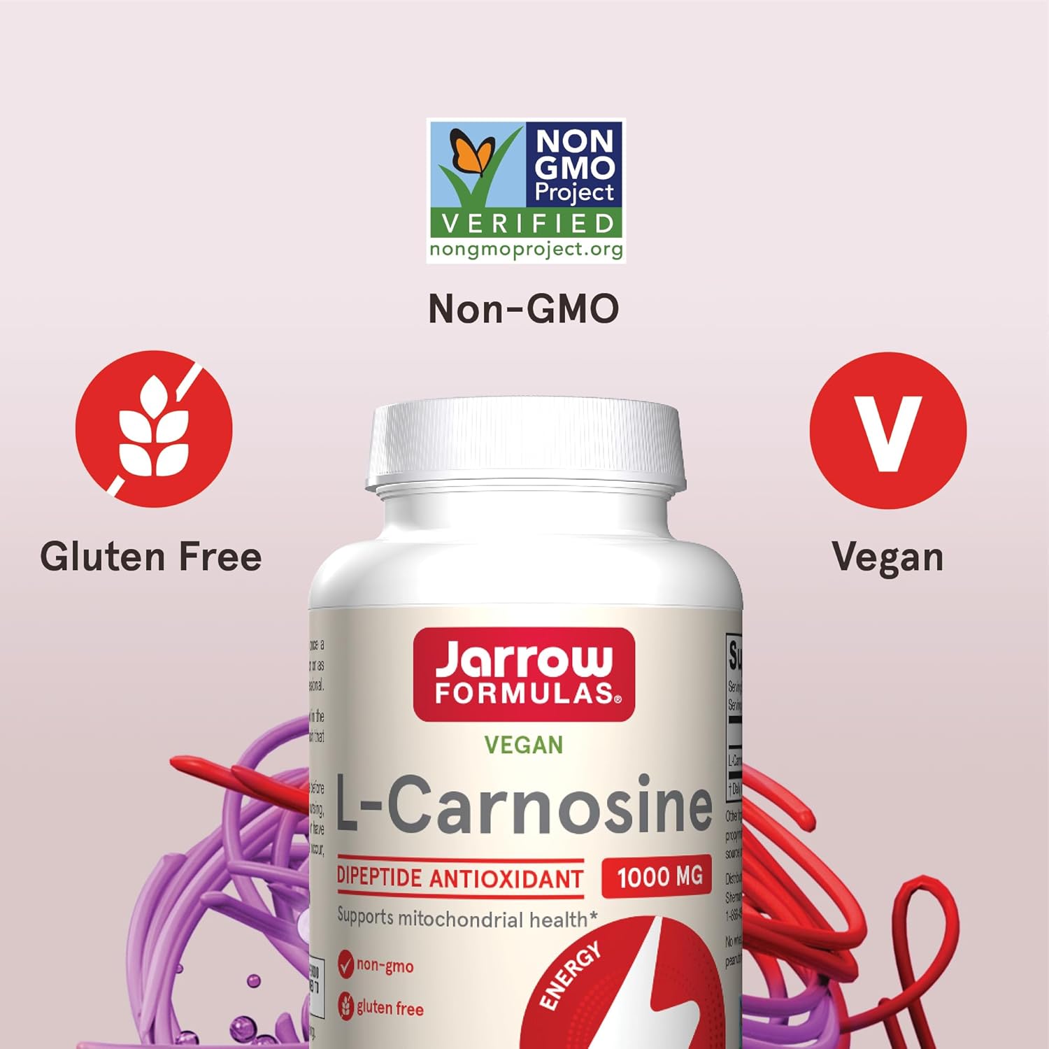 Jarrow Formulas L-Carnosine Dipeptide Antioxidant 1000 Mg, Dietary Supplement, Antioxidant Support For Mitochondrial Health, 90 Veggie Capsules, Up To 45 Day Supply : Health & Household