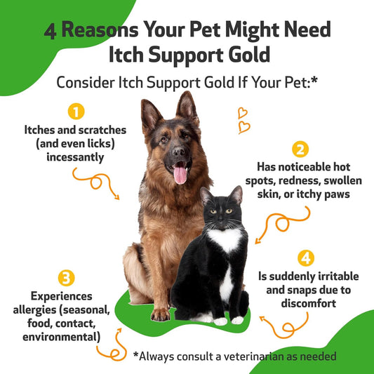 Pet Wellbeing Itch Support Gold For Dogs & Cats - Vet-Formulated - Itchy Skin & Paws, Hot Spots, Skin Allergies - Natural Herbal Supplement 4 Oz (118 Ml)