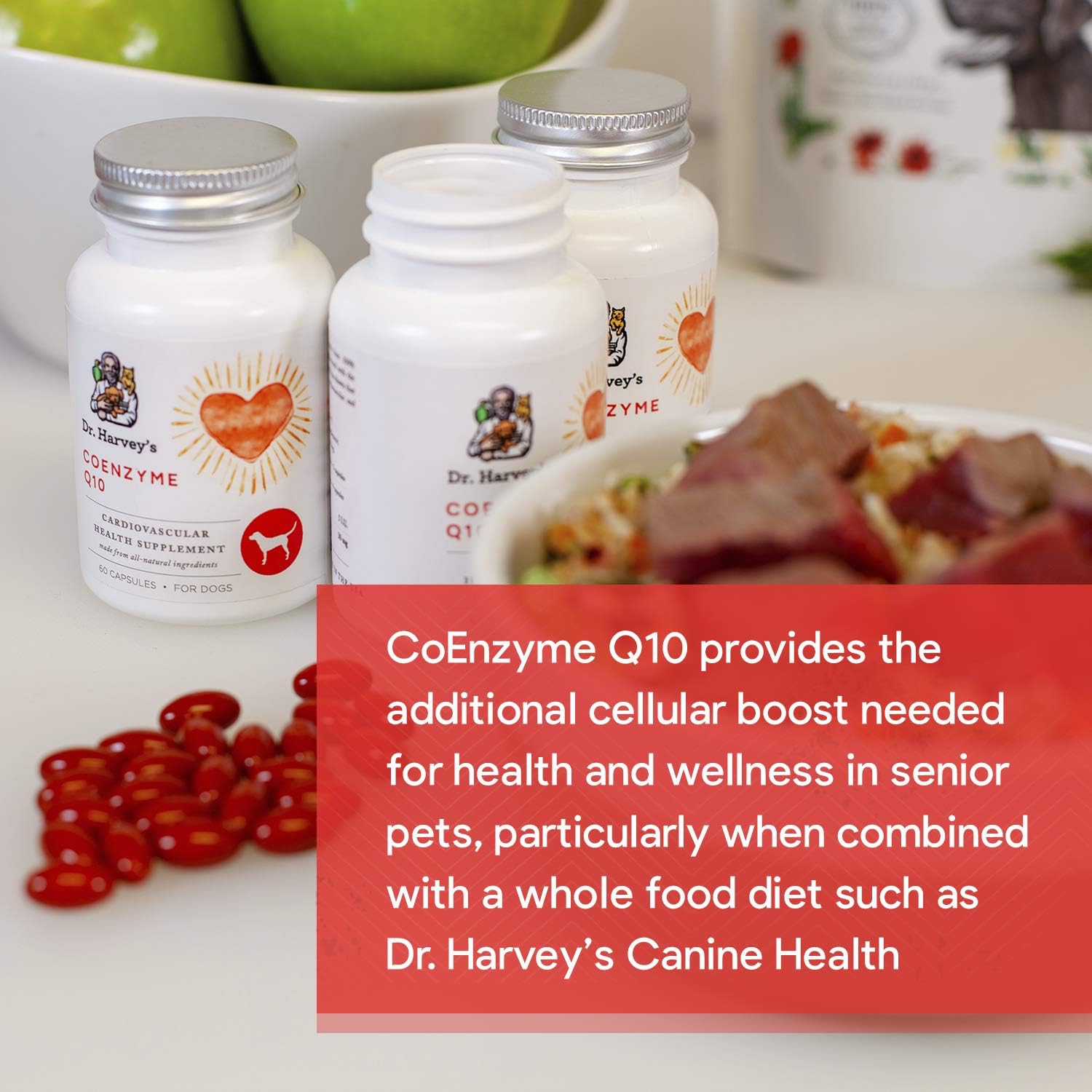 Dr. Harvey's Coenzyme Q10 - Heart & Cardiovascular Support Supplements for Dogs, 60 Capsules : Pet Supplies