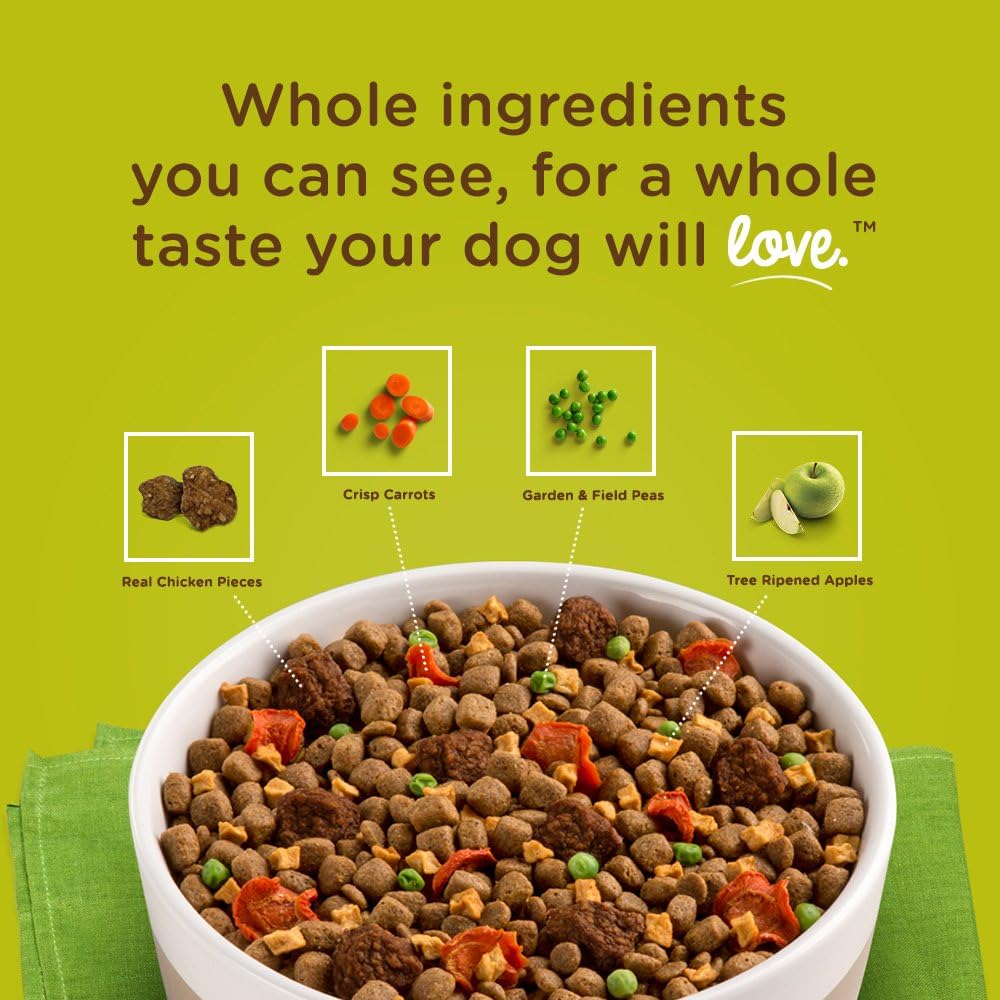 Rachael Ray Nutrish Dish Premium Dry Dog Food, Beef & Brown Rice Recipe with Veggies, Fruit & Chicken, 11.5 Pound Bag : Pet Supplies