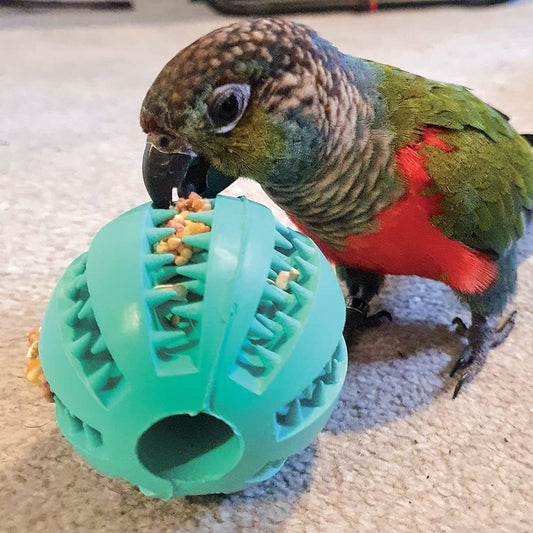 Northern Parrots Rubber Tooth Foraging Ball Feeding Treat