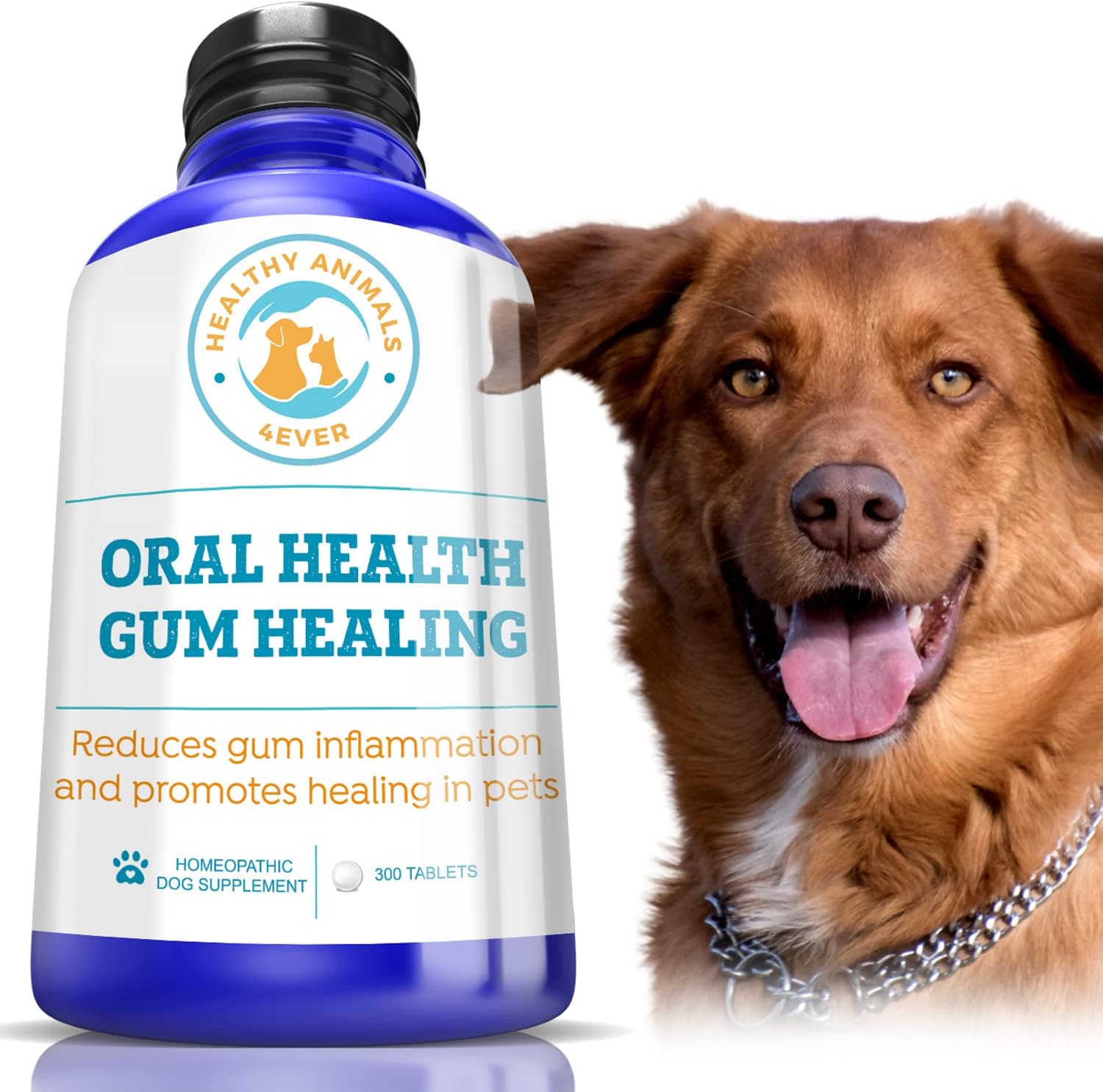 Healthy Animals 4 Ever Oral Health Gum Healing for Dogs - Relieves Inflammation, Soothes Pain, Fights Gum Disease - Natural, Non-GMO, Organic - Gluten, Preservative & Chemical Free Supplement - 300 ct