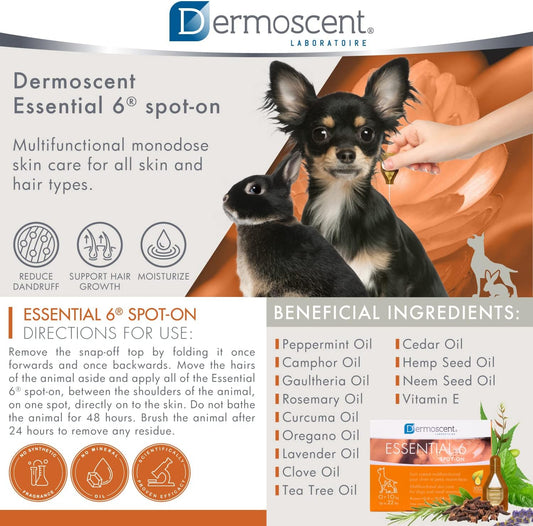 Dermoscent Essential 6 spot-on - Dog Skin Care for Dandruff & Allergy Relief with Vitamin E Oil - Anti Itch for Dogs - Dog & Small Mammals 0-10 kg - 4 Pipettes of 0.6 ml