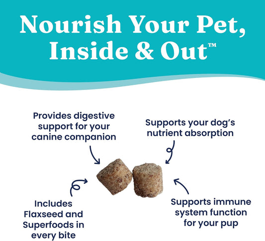 Solid Gold Healthy Dog Treats - Functional Dog Treats For Training + Gut Health - Pumpkin Dog Treats With Flaxseed Healthy Training Treats For Dogs - 5.2 Oz