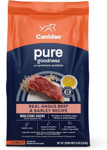 Canidae Pure Adult Dry Dog Food With Wholesome Grains, Real Beef & Barley Recipe, 4 Lbs