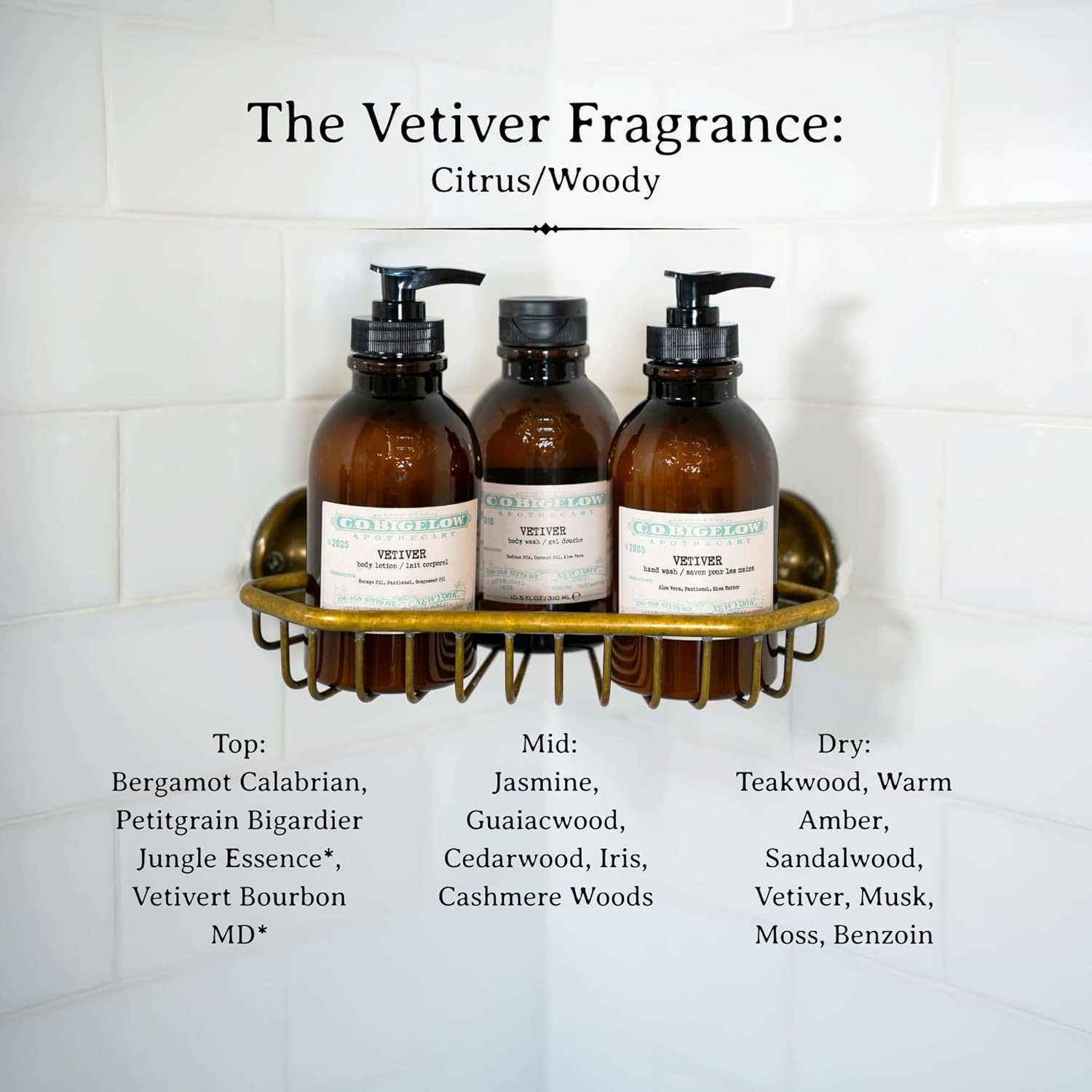 C.O. Bigelow Iconic Collection West Village Rose Body Lotion, With Borage Oil, Panthenol, Grapeseed Oil, And Shea Butter, 10.5 Fl Oz : Beauty & Personal Care