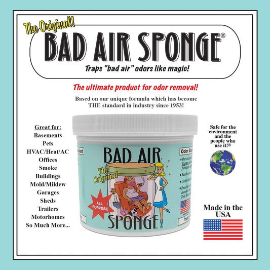 Bad Air Sponge Odor Neutralizer, Absorbs and Eliminates Bad Smells, 2 lb, 2 Pack