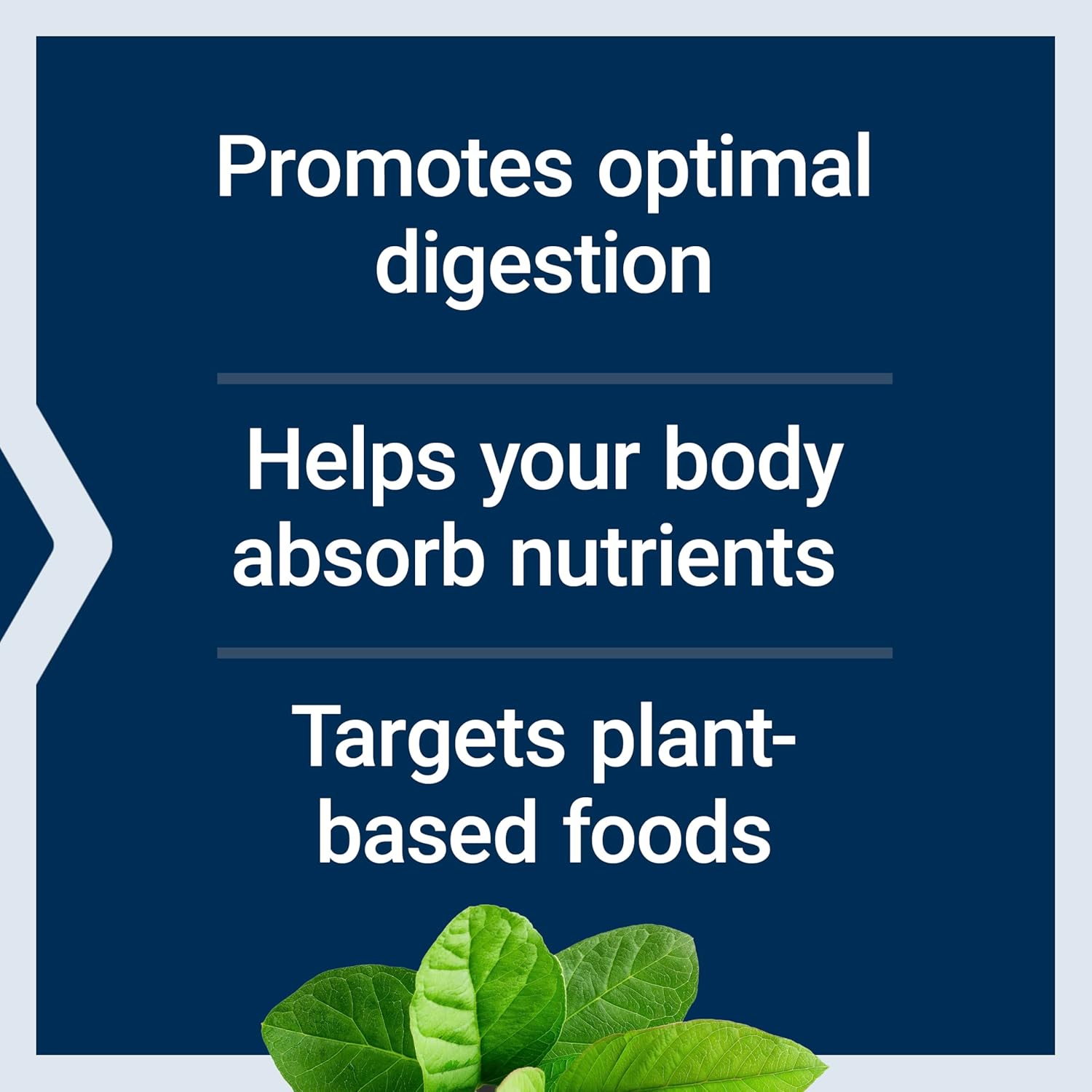 Life Extension Enhanced Super Digestive Enzymes, Supports Digestion, Comfort, Digesting Plant-Based Foods, Non-Gmo, Vegetarian, 60 Capsules : Health & Household