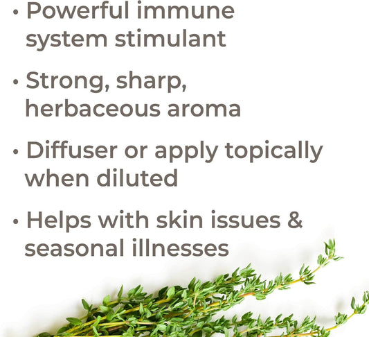 Plant Therapy Thyme Thymol Organic Essential Oil 10 Ml (1/3 Oz) 100% Pure, Undiluted, Therapeutic Grade