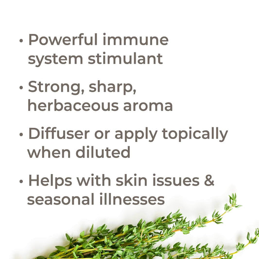 Plant Therapy Thyme Thymol Essential Oil 100% Pure, Undiluted, Natural Aromatherapy, Therapeutic Grade 10 Milliliter (1/3 Ounce)