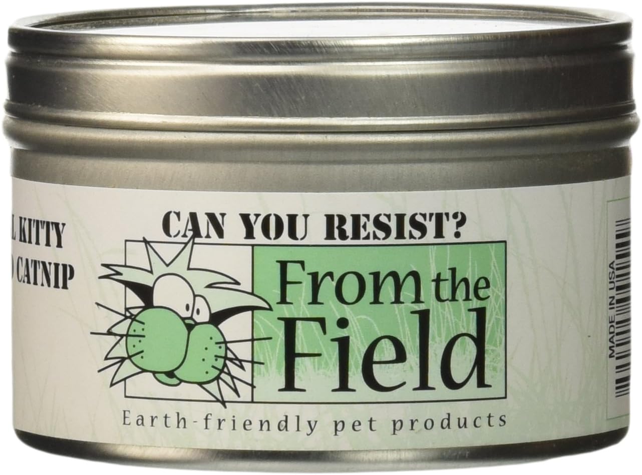 From The Field 1-Ounce Can You Resist Catnip Kitty Safe Stalkless Tin Can