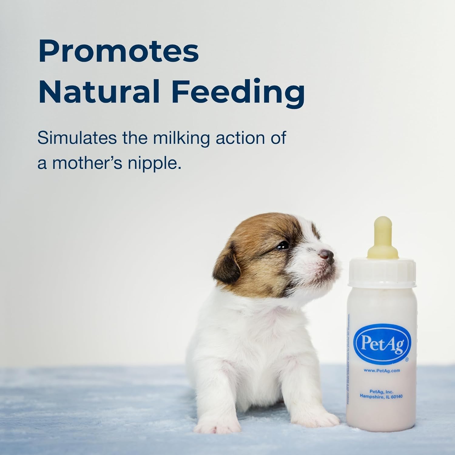 Pet-Ag Nursing Kit - 2 oz, Pack of 2 - Promotes The Natural Feeding of Liquids to Baby Animals - Each Kit Includes 2 oz. Bottle with Cap, 5 Nipples & Cleaning Brush : Pet Supplies