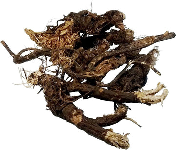 OSHA Root Whole Wildcrafted 1 Ounce