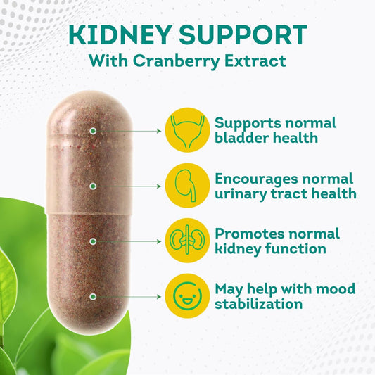 Purepremium Supplements - Kidney Support With Cranberry Extract & Astragalus - Kidney Cleanse Detox & Repair - Kidney Health Supplement For Urinary Tract, Bladder, Kidney Detox - 60 Cranberry Pills