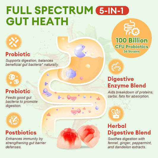 Sugar Free 5-In-1 Probiotic Prebiotic Postbiotic Gummy, Probiotics For Women Men With Digestive Enzymes, Peppermint, Complete Immune, Gut & Digestive Support, Vegan, 60 Cts, Strawberry Flavor