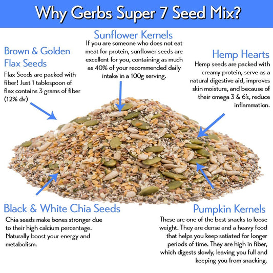 GERBS Raw Super 7 Seed Snack Trail Mix 14oz. | Top 14 Food Allergy Free | Resealable Bulk Bag | Made in USA | Raw Pumpkin Sunflower (Black & White) Chia Hemp (Brown & Golden) Flax Seeds | Gluten Free