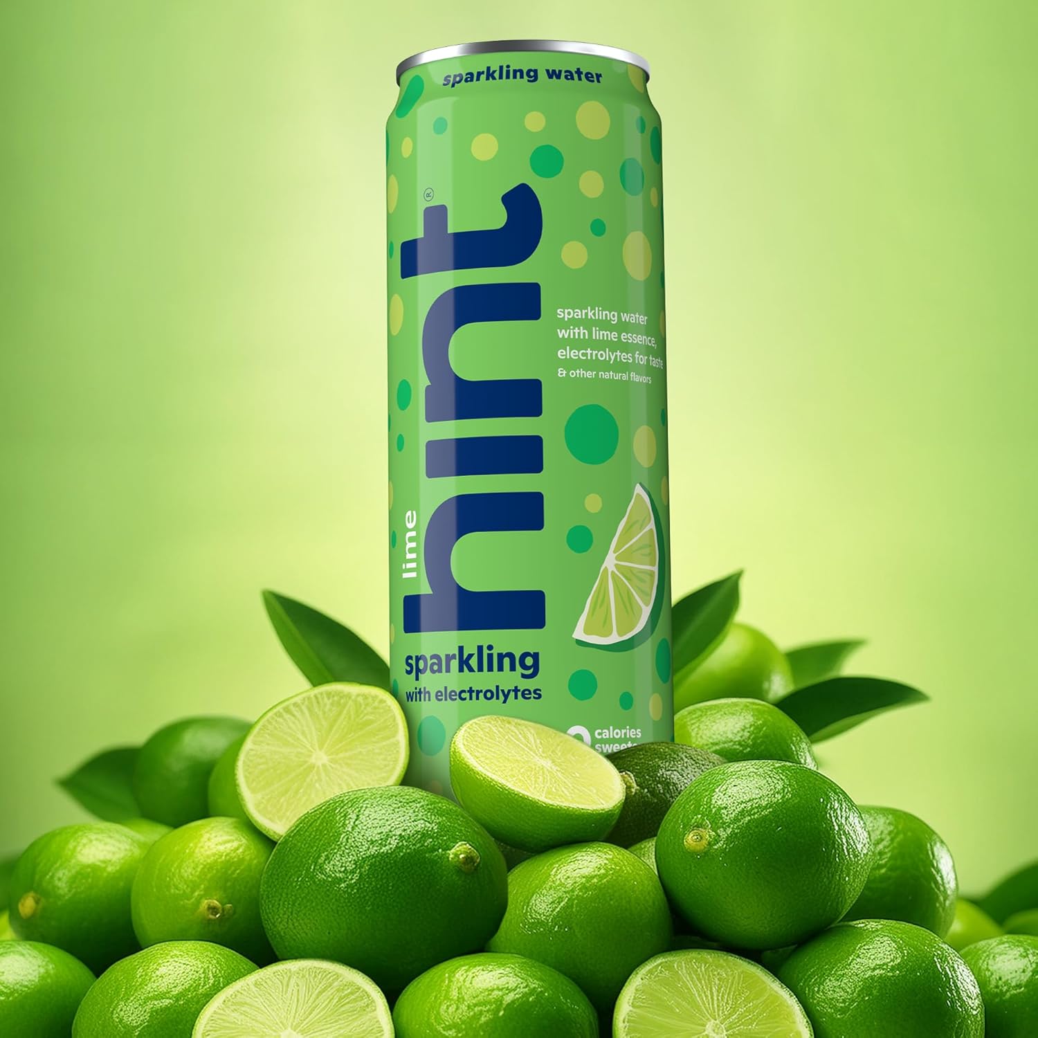 Hint Lime Sparkling Water with Electrolytes Added for Taste, Zero Sugar, Zero Calories, and Zero Sweeteners, 12 Fl Oz (Pack of 12) : Grocery & Gourmet Food