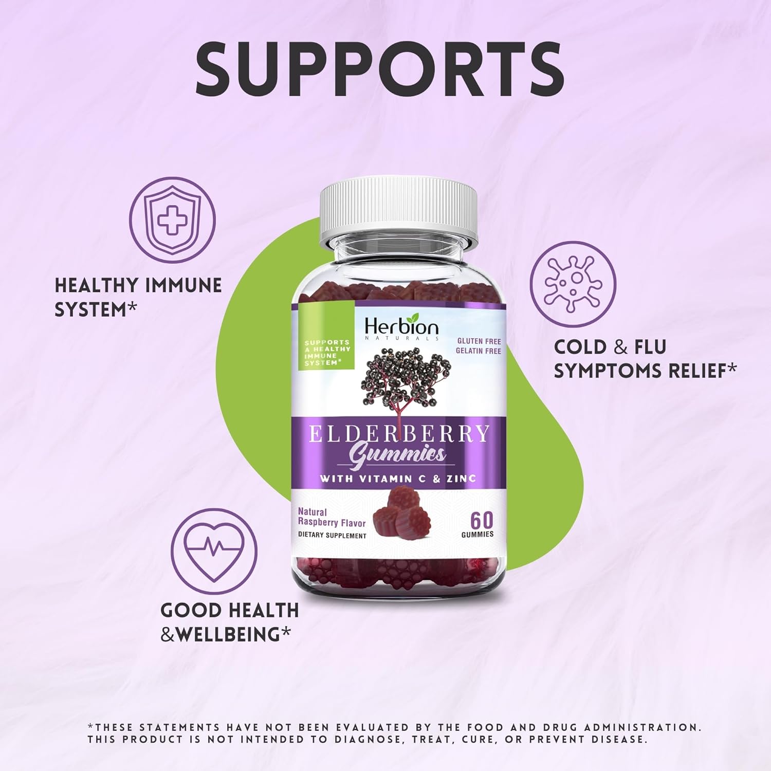 Herbion Naturals Elderberry Gummies with Vitamin C & Zinc Healthy Immune System Support Gummies, 60 Count Pectin Gummies : Health & Household