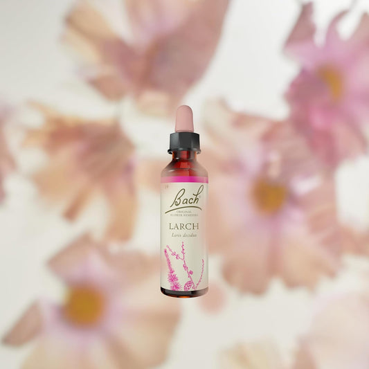 Bach Original Flower Remedies (Larch) Find Joy & Hope, Have Confidence, Emotional Wellness, Natural Flower Essence, 20Ml