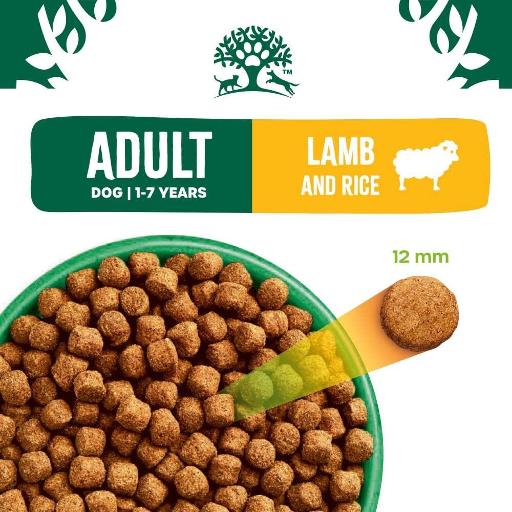 James Wellbeloved Adult Lamb & Rice 2 kg Bag, Hypoallergenic Dry Dog Food :Pet Supplies