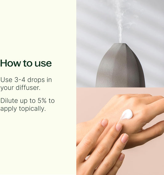 Plant Therapy Peppermint Essential Oil 10 Ml (1/3 Oz) 100% Pure, Undiluted, Natural Aromatherapy For Diffuser & Topical Use, Digestion, Respiratory, & Massage, Peppermint Oil For Skin & Hair
