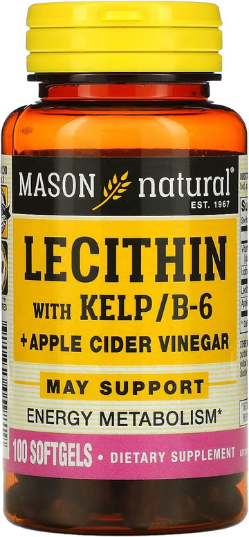 MASON NATURAL, Lecithin with KELP, B 6 Plus Cider Vinegar