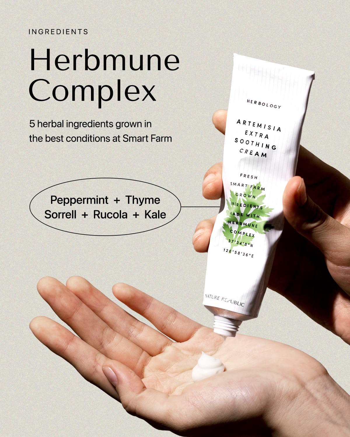 Nature Republic Herbology Artemisia Extra Soothing Cream (Not Tested On Animals)