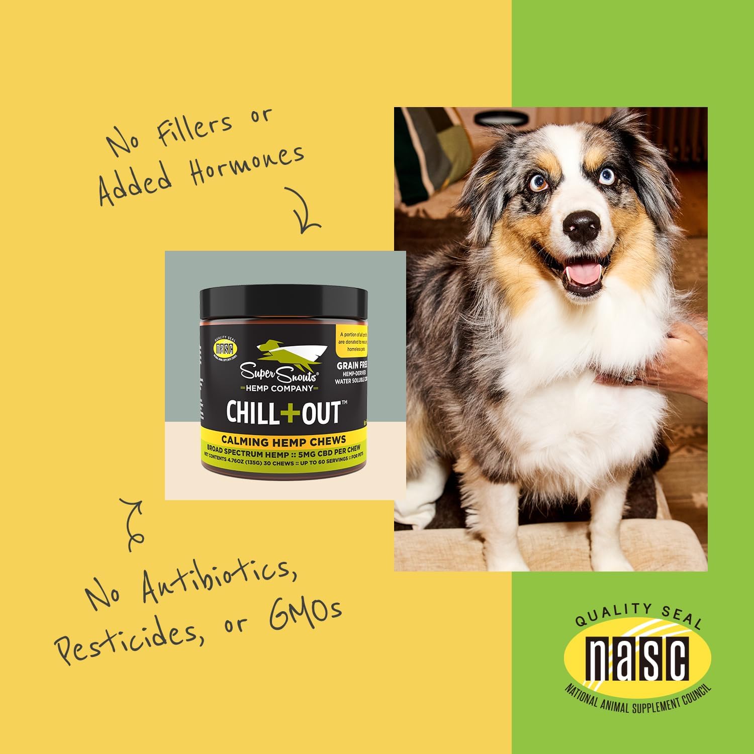 Super Snouts Chill + Out– 30 Soft Chews – Calming Chews For Dogs And Cats Help Maintain Your Pet’S Emotional Balance – Made In The Usa : Pet Supplies