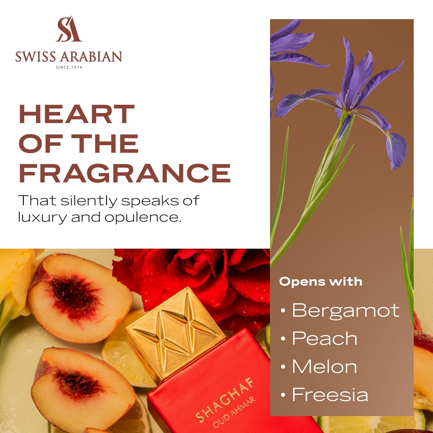 Swiss Arabian Shaghaf Oud Ahmar - Luxury Products From Dubai - Long Lasting And Addictive Personal Edp Spray Fragrance - Seductive, Signature Aroma - The Luxurious Scent Of Arabia - 2.5 Oz : Beauty & Personal Care