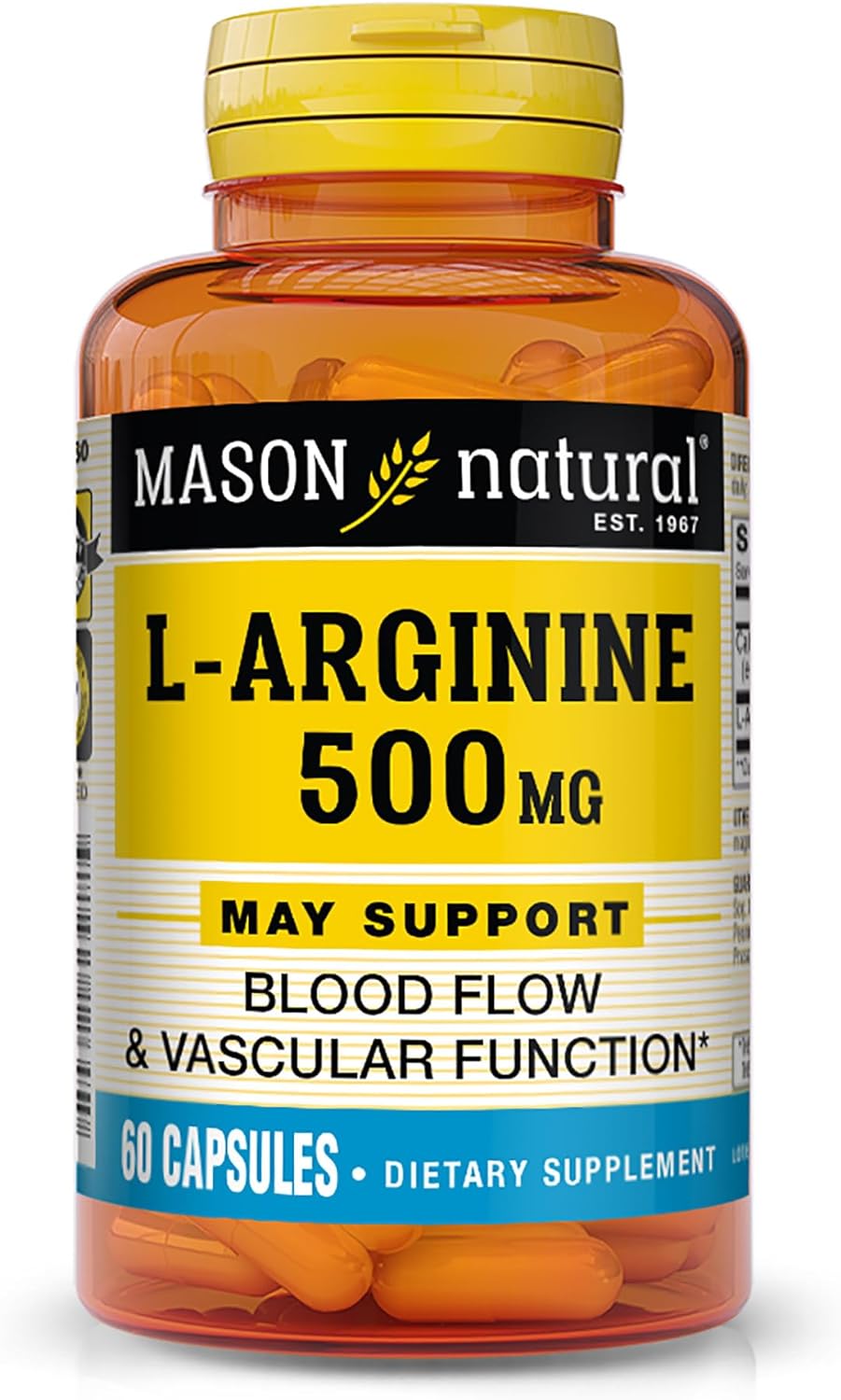 MASON NATURAL L-Arginine 500 mg with Calcium- Supports Healthy Circulation & Vascular Function, Nitric Oxide Supplement, 60 Capsules