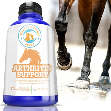 All-Natural Horse Arthritis Support - Helps Prevent Stiffness, Joint Pain & Lameness - Joint Supplements for Horses - Homeopathic & Highly Effective - 300 Tablets