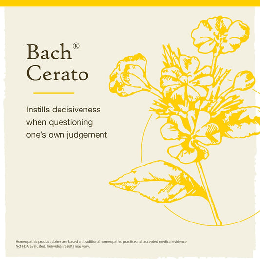 Bach Original Flower Remedies, Cerato for Trusting Intuition (Non-Alcohol Formula), Natural Homeopathic Flower Essence, Holistic Wellness and Stress Relief, Vegan, 10mL Dropper